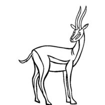 mir-raskrasok-antilopa-10
