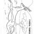 Картинка раскраски 2 - Раскраска Антилопа.