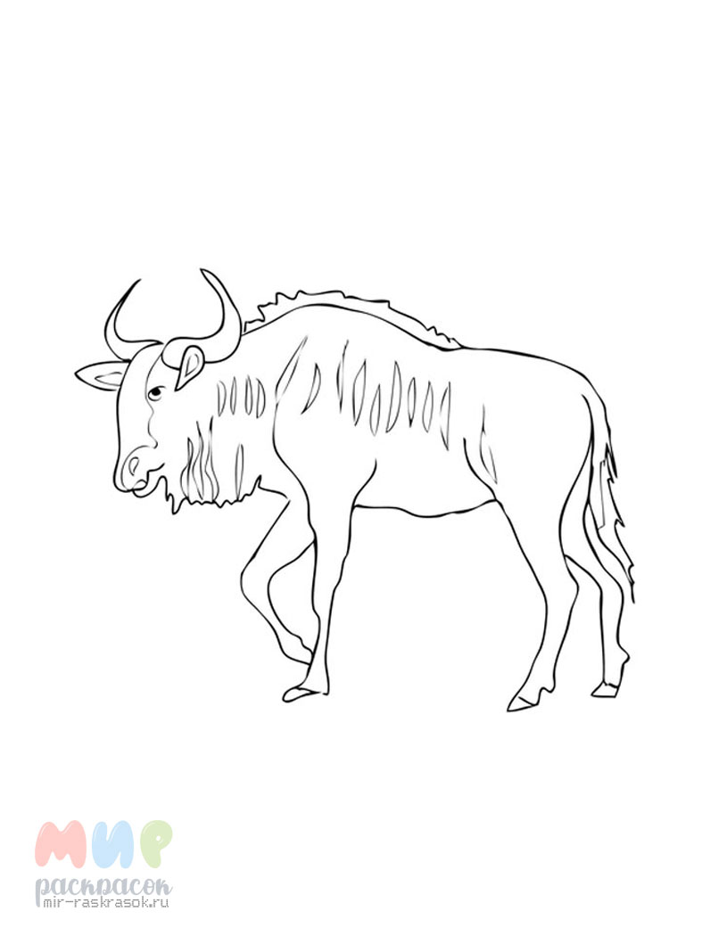 Раскраска Антилопа | Раскраски животных в прописи. Готовимся к школе