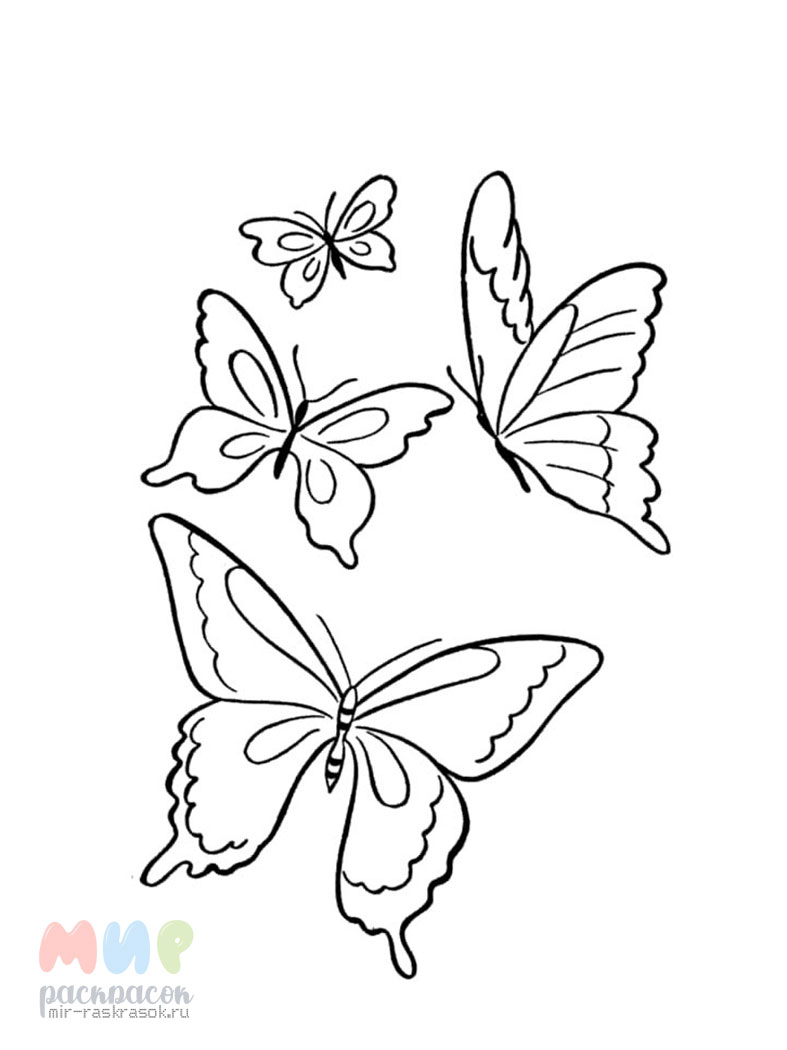 Бабочки раскраска