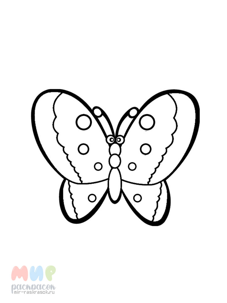 Раскраска Бабочка и Цветы распечатать бесплатно для девочек детей 3,4,5 лет
