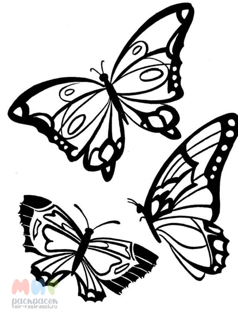 Распечатки бабочек черно. Раскраска "бабочки". Рисунок бабочки для раскрашивания. Бабочка раскраска для детей. Бабочка черно белая.