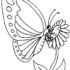 Картинка раскраски 6 - Раскраска Бабочка мимо пролетала.