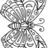 Картинка раскраски 5 - Раскраска Бабочка красавица.