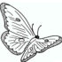 Картинка раскраски 10 - Раскраска Бабочка.