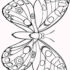 Картинка раскраски 11 - Раскраска Бабочка.