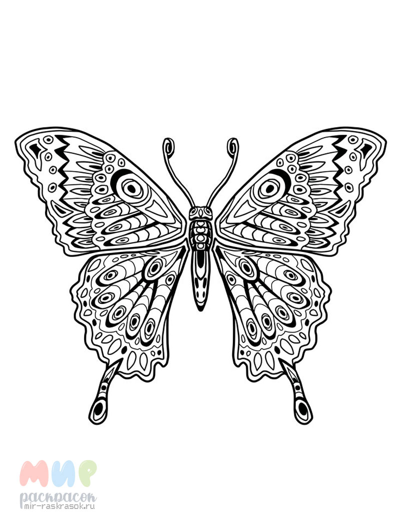Раскраски Антистресс бабочки - распечатать в хорошем качестве бесплатно