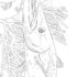 Картинка раскраски 4 - Раскраска Рыба Баракуда.