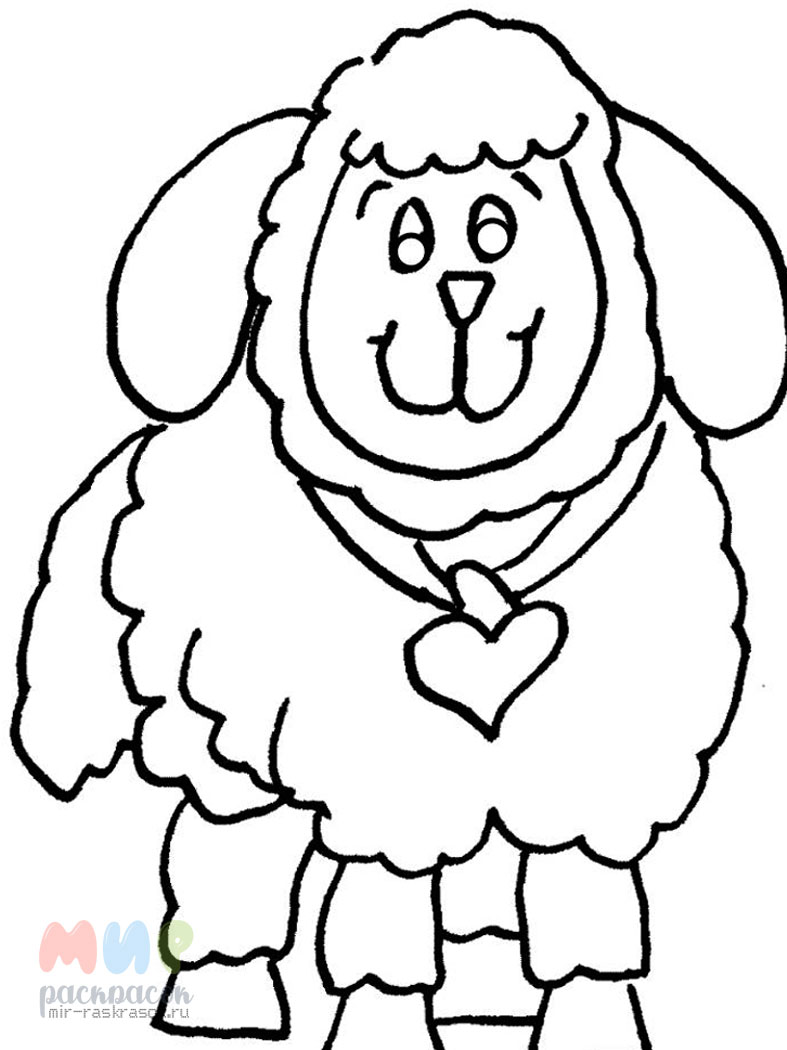 Раскраска дикая овца для детей