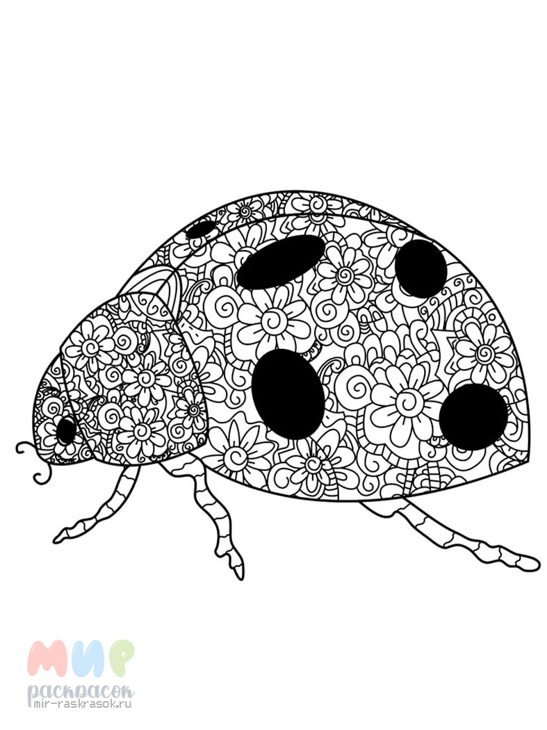 Раскраска божья коровка без точек - 75 фото