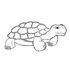 Картинка раскраски 6 - Раскраска Черепаха в панцирь голову засуваха.