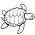 Картинка раскраски 10 - Раскраска Черепаха всегда дома.