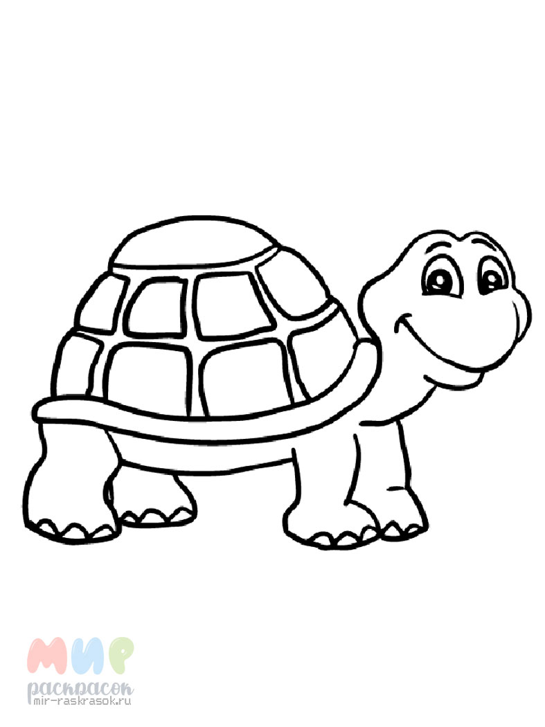 Черепаха рисунок для детей - 67 фото