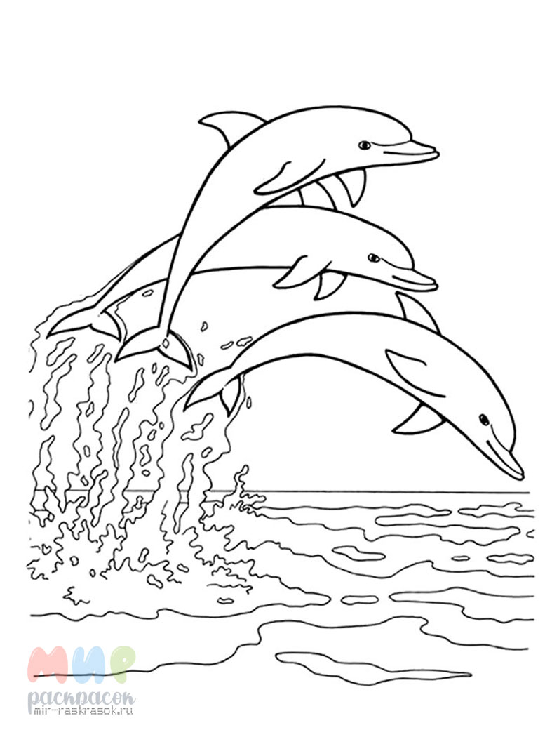 Рисунки карандашом для детей дельфины (34 фото) 🔥 Прикольные картинки и юмор