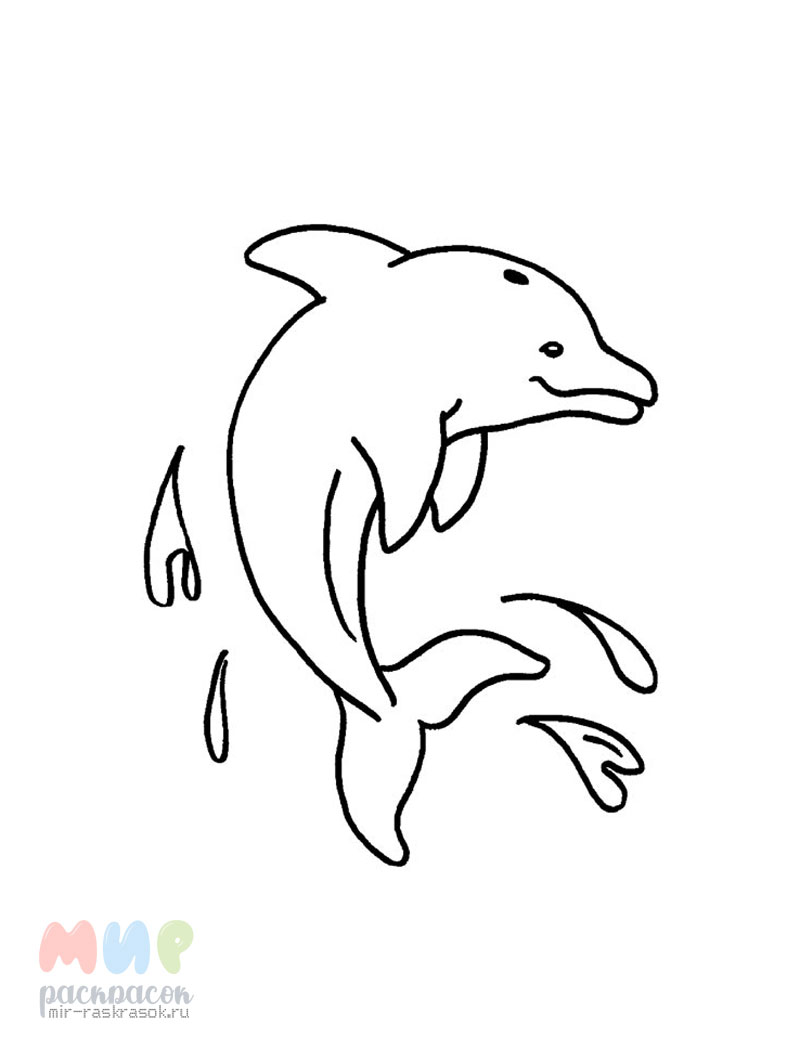 Раскраски дельфинов - Распечатать (А4) бесплатно здесь!