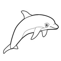 mir-raskrasok-delfin-21