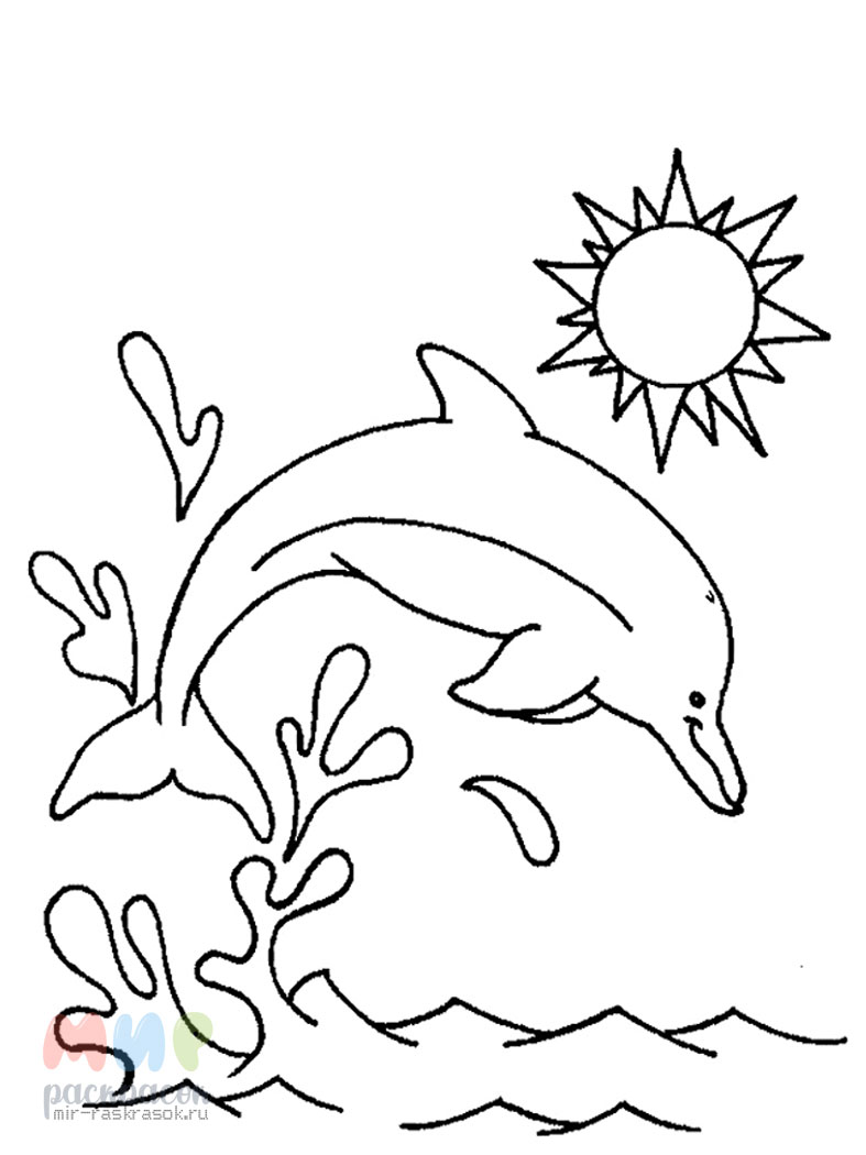 Раскраска Дельфин | Раскраски дельфинов. Раскраска для детей с дельфинами