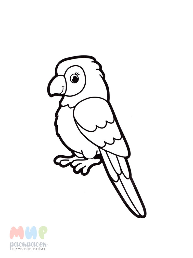 Раскраски для детей с птицами для печати