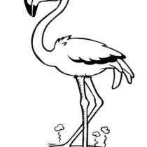 mir-raskrasok-flamingo-1