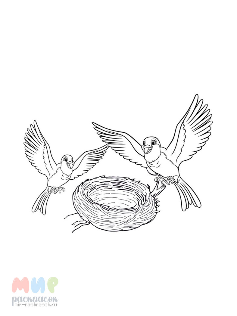 Раскраска Птичье гнездо Часть 2 — Мир раскрасок