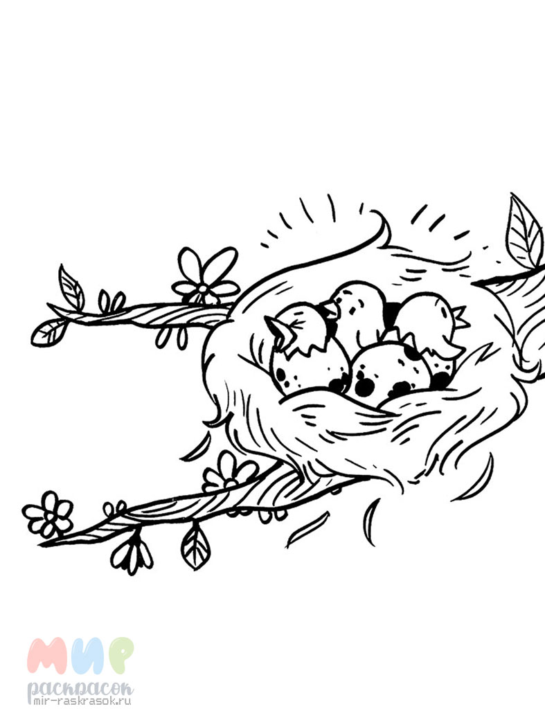 Раскраска Птичье гнездо Часть 2