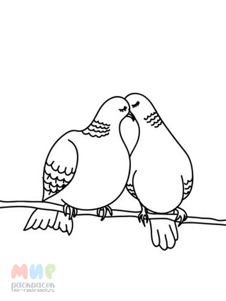 Раскраски птицы голубь (45 фото)