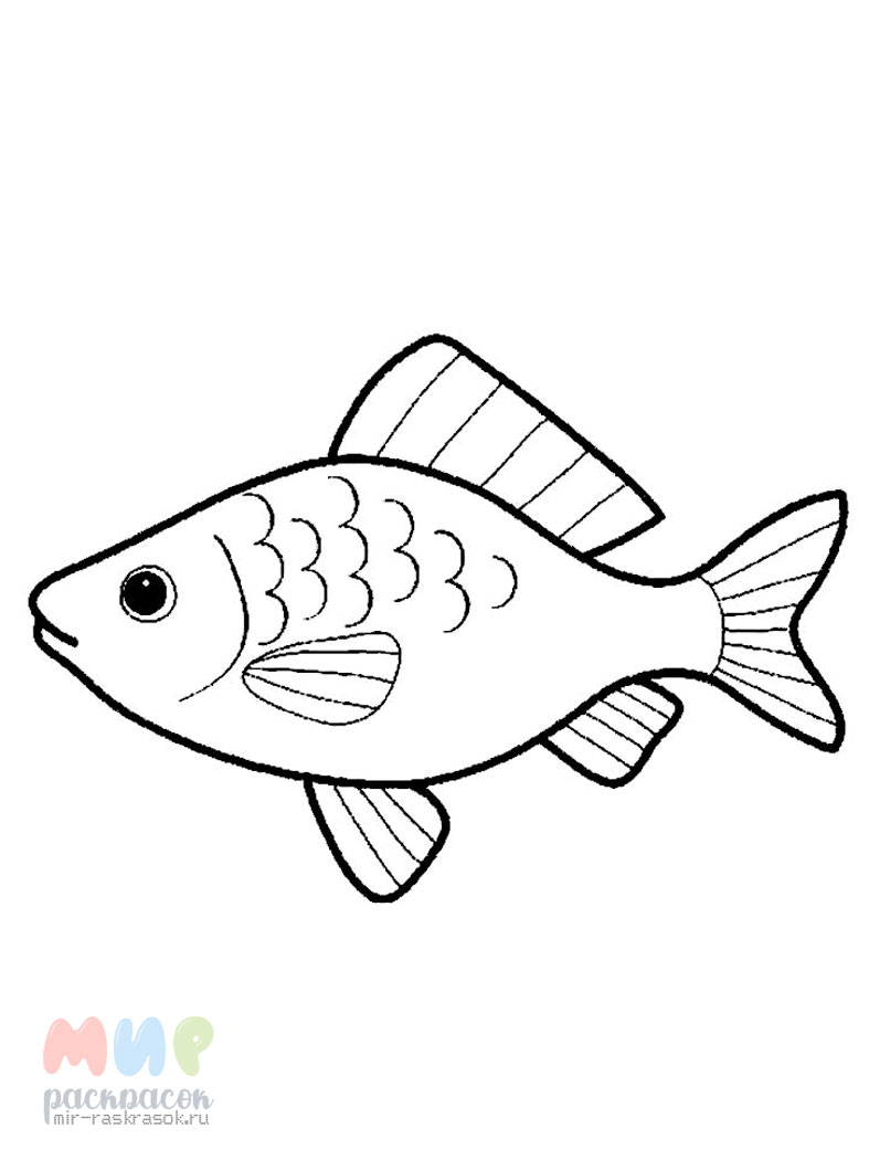 Рыбка раскраска - 69 фото