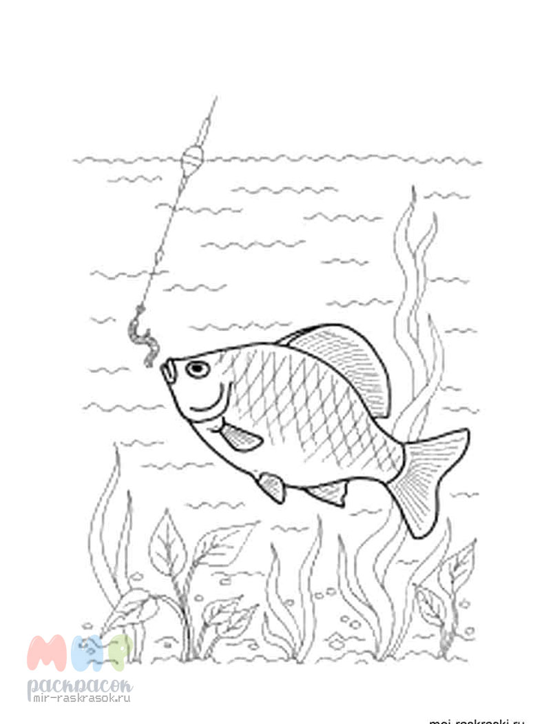Раскраски Рыбка для детей картинка (29 шт.) - скачать или распечатать бесплатно #