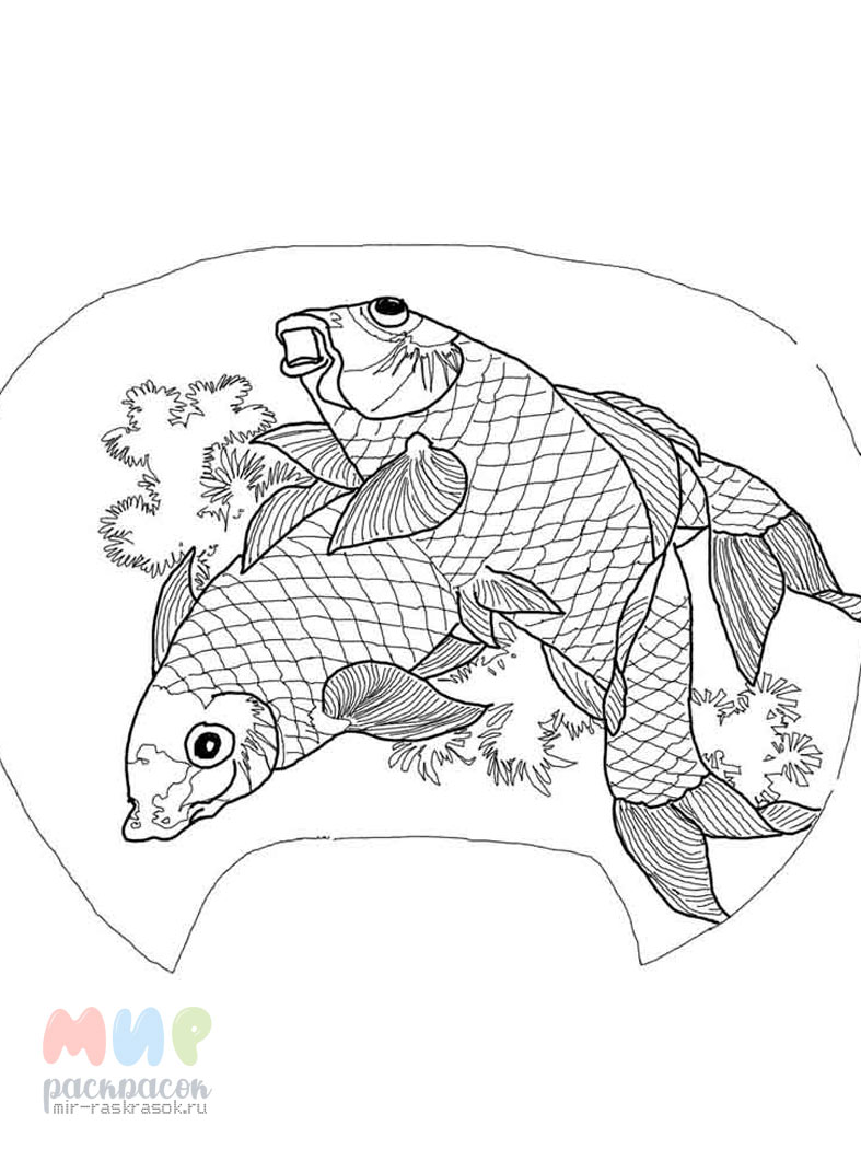 Раскраски Рыбка для детей картинка (29 шт.) - скачать или распечатать бесплатно #