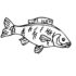 Картинка раскраски 2 - Раскраска Рыба Карп.
