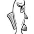 Картинка раскраски 4 - Раскраска Рыба Карп.