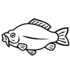 Картинка раскраски 7 - Раскраска Рыба Карп.