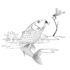Картинка раскраски 10 - Раскраска Рыба Карп.