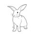 Картинка раскраски 6 - Раскраска Кролик без единицы нолик.