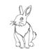 Картинка раскраски 8 - Раскраска Кролик без единицы нолик.