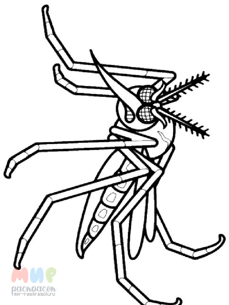 Раскраска комар для мальчиков. раскраски на тему комар для детей