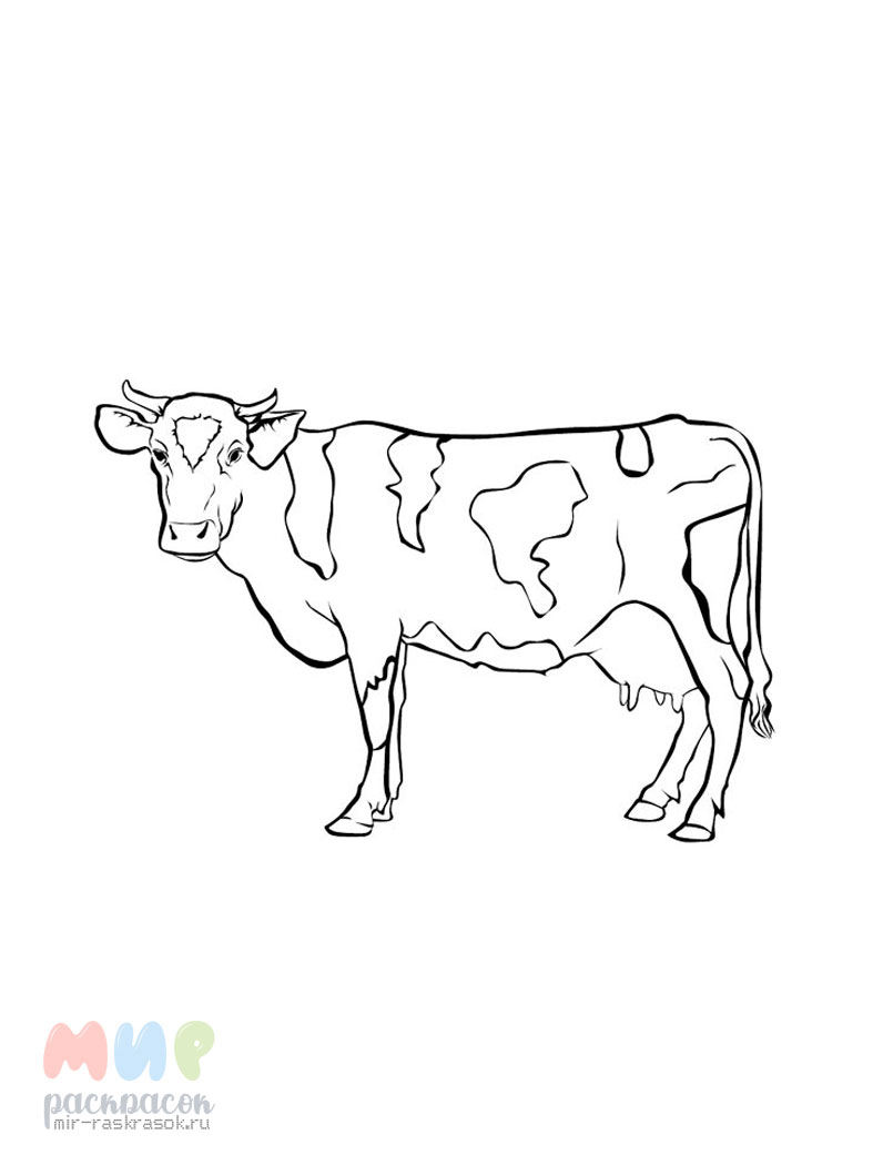 Раскраски Коровы