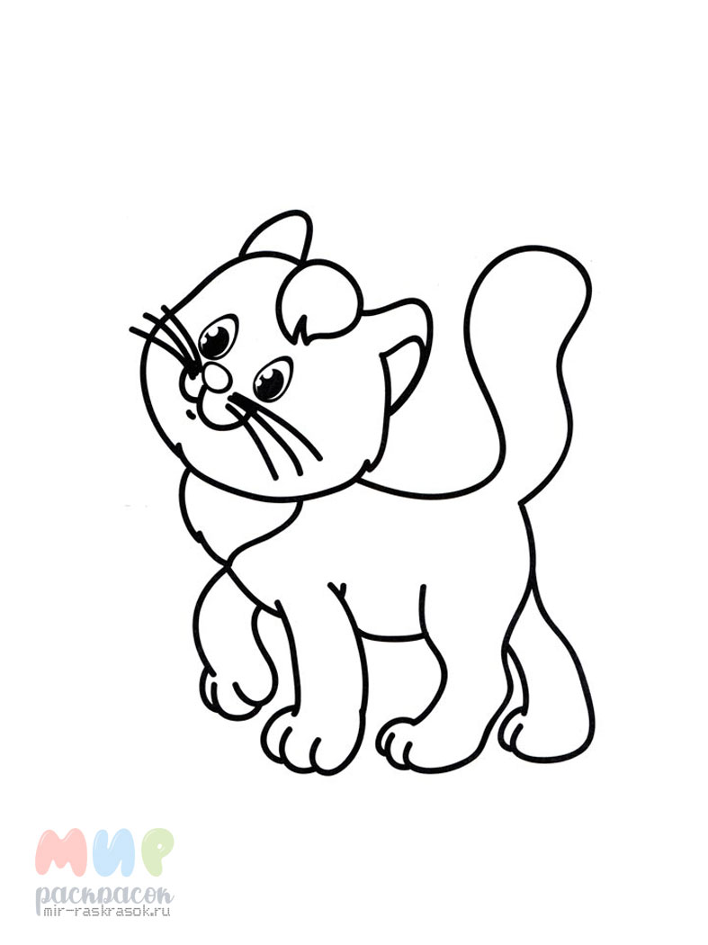 Раскраска кошки для детей 4 5 лет. Раскраска. Котики. Кошки. Раскраска. Раскраска кот. Кот раскраска для детей.