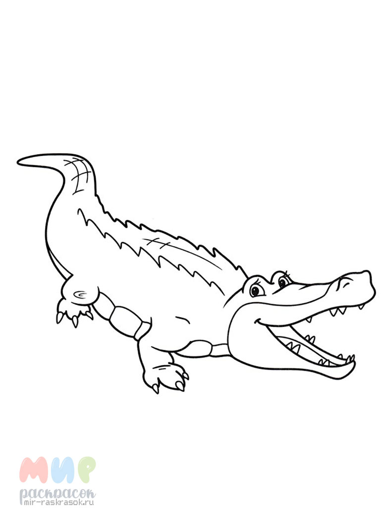 Водная раскраска «Зелёный крокодил»