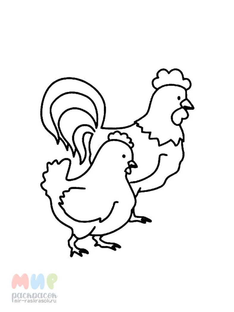 «Курица» скачать раскраски