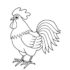 Картинка раскраски 3 - Раскраска Курица то не курица.