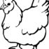 Картинка раскраски 7 - Раскраска Курица то не курица.