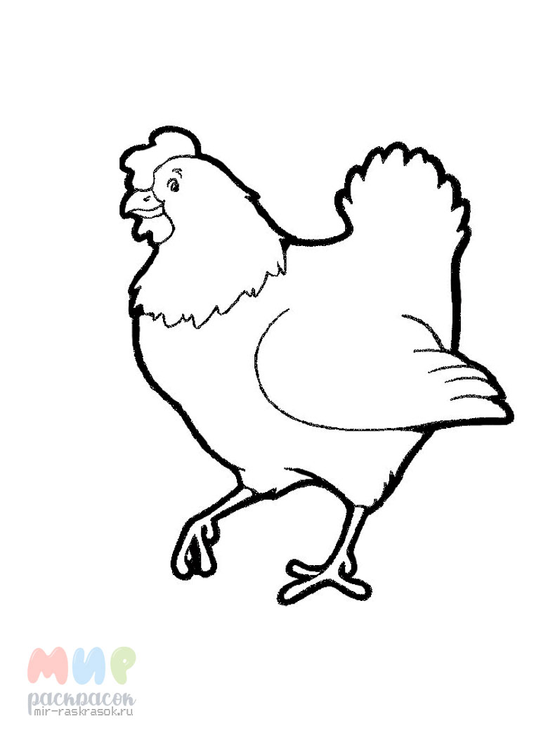 Раскраска курица