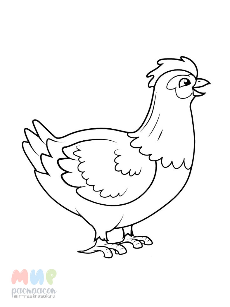 Раскраска Курочка и маленькие цыплята - распечатать бесплатно