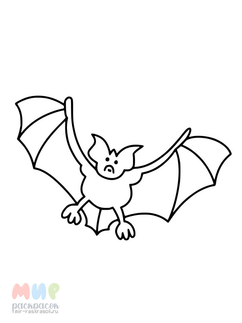 Летучая мышь рисунок для детей