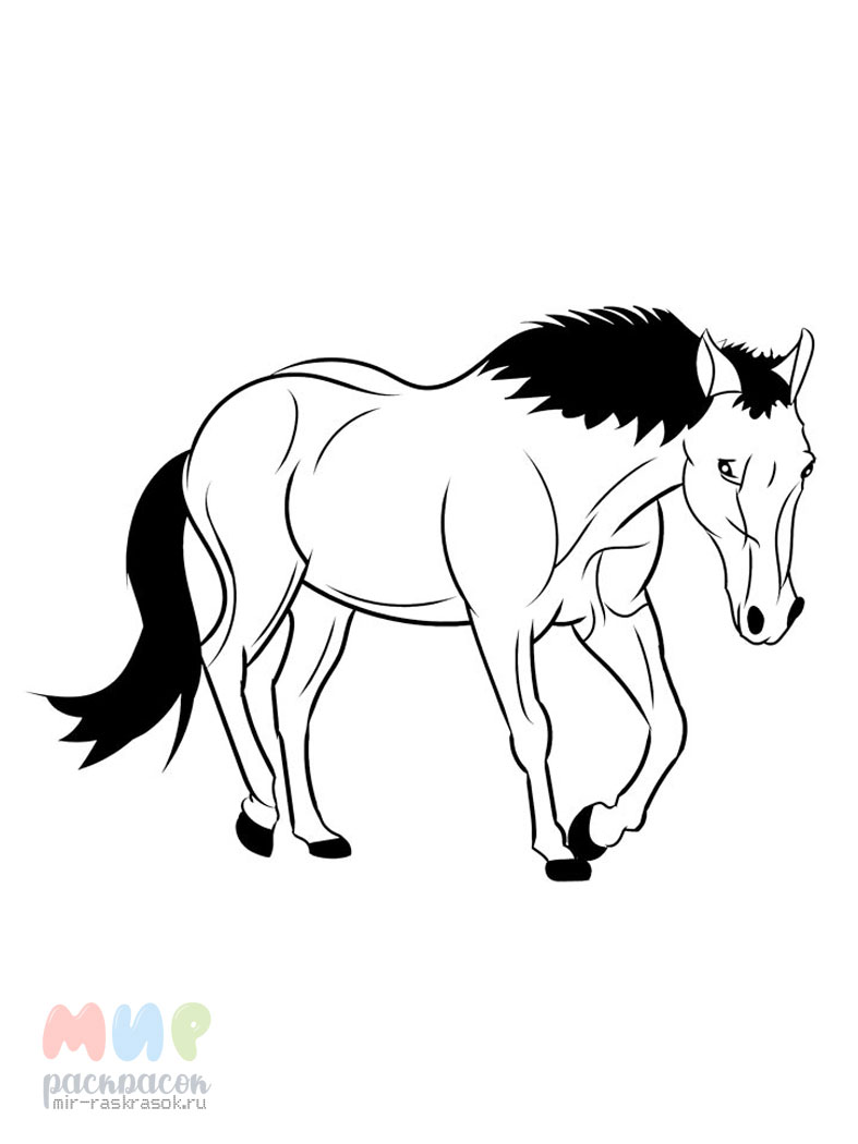 Раскраска рисунок лошадь - 70 фото