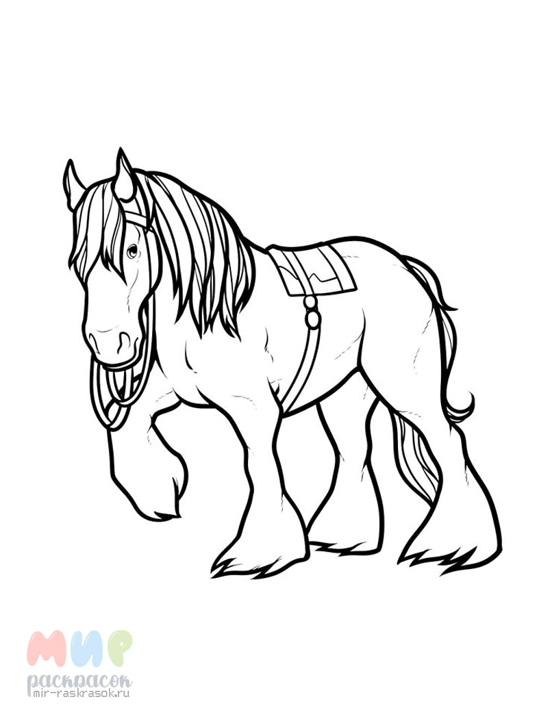 Разноцветная лошадь Раскраска картина по номерам на холсте ZX 22260