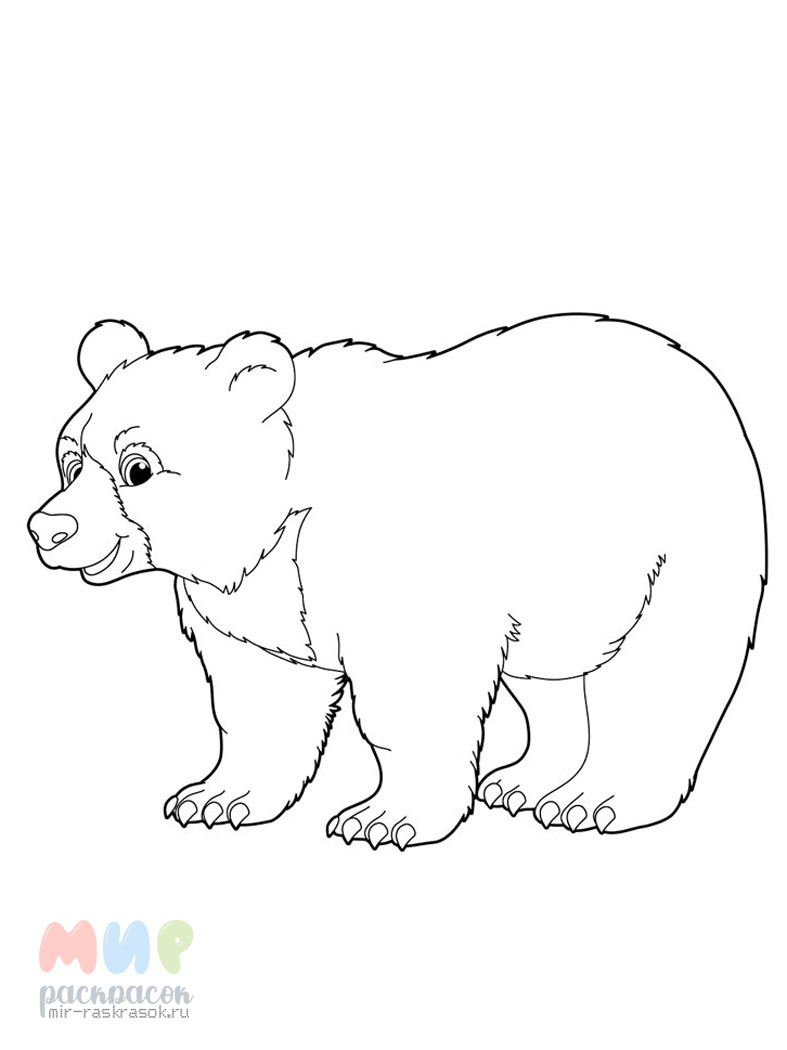 Страницы раскраски: Дикие животные. Милый бурый медведь смотрит на улей с медом в лесу .