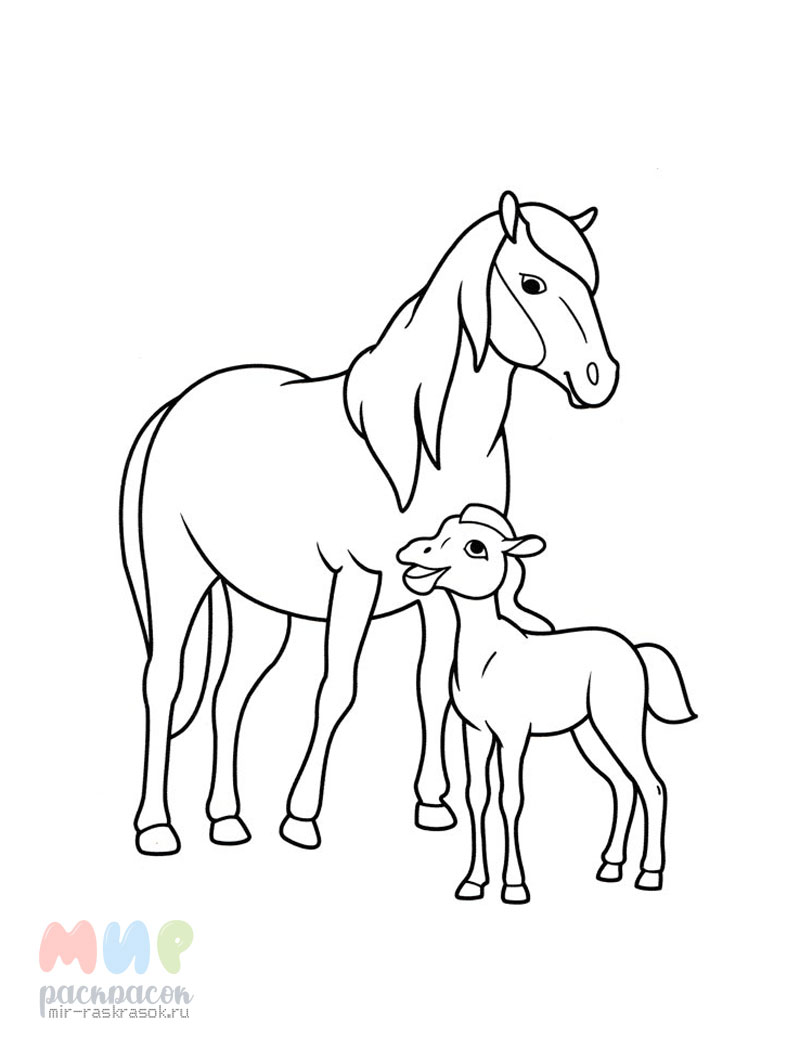 Раскраска Лошадь и жеребёнок распечатать или скачать