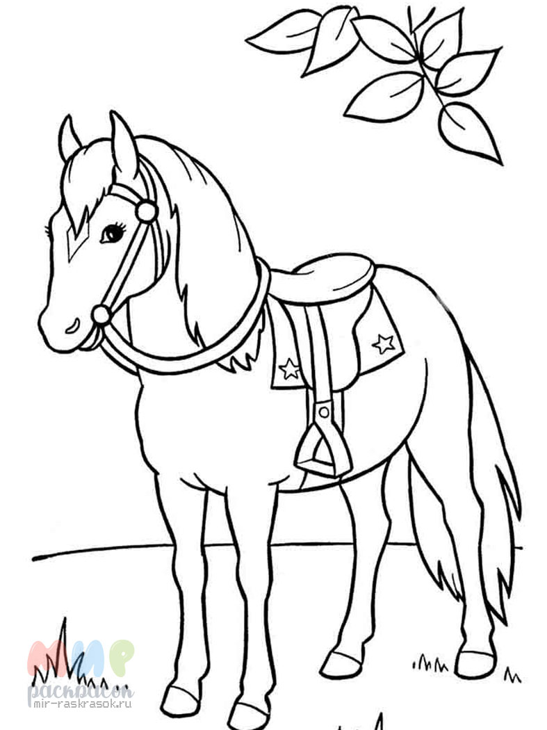 Лошадь рисунок раскраска - 78 фото
